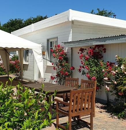 Ferienbungalow Haus Am Teich Boltenhagen  Εξωτερικό φωτογραφία