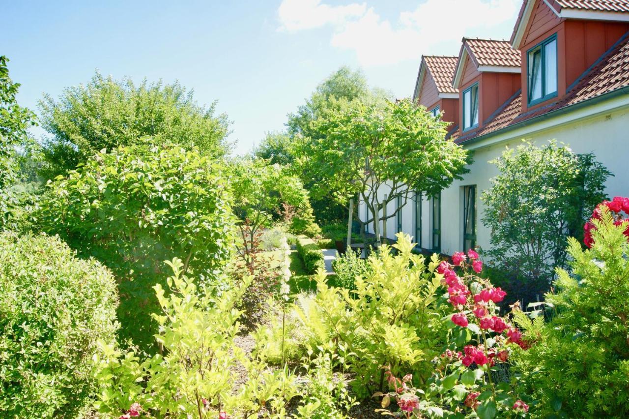 Ferienbungalow Haus Am Teich Boltenhagen  Εξωτερικό φωτογραφία