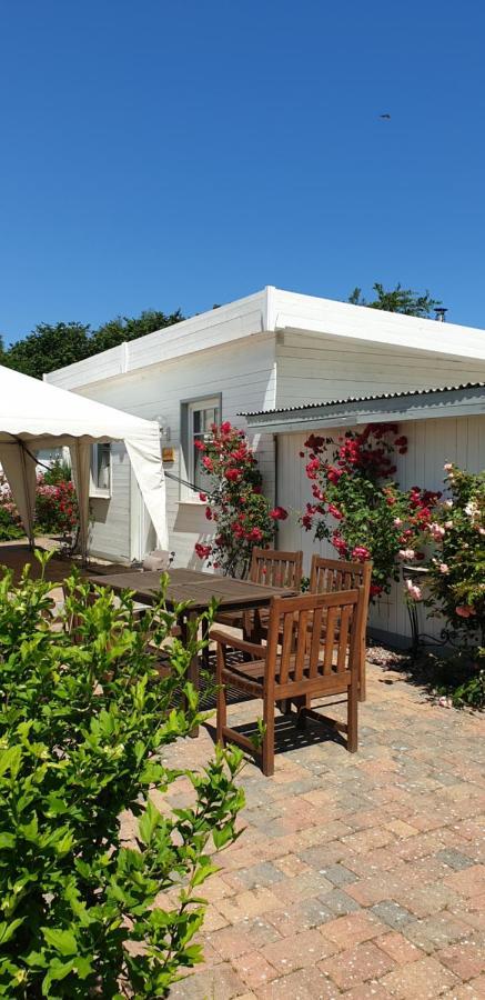 Ferienbungalow Haus Am Teich Boltenhagen  Εξωτερικό φωτογραφία