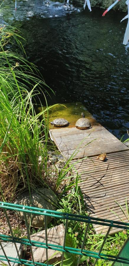 Ferienbungalow Haus Am Teich Boltenhagen  Εξωτερικό φωτογραφία