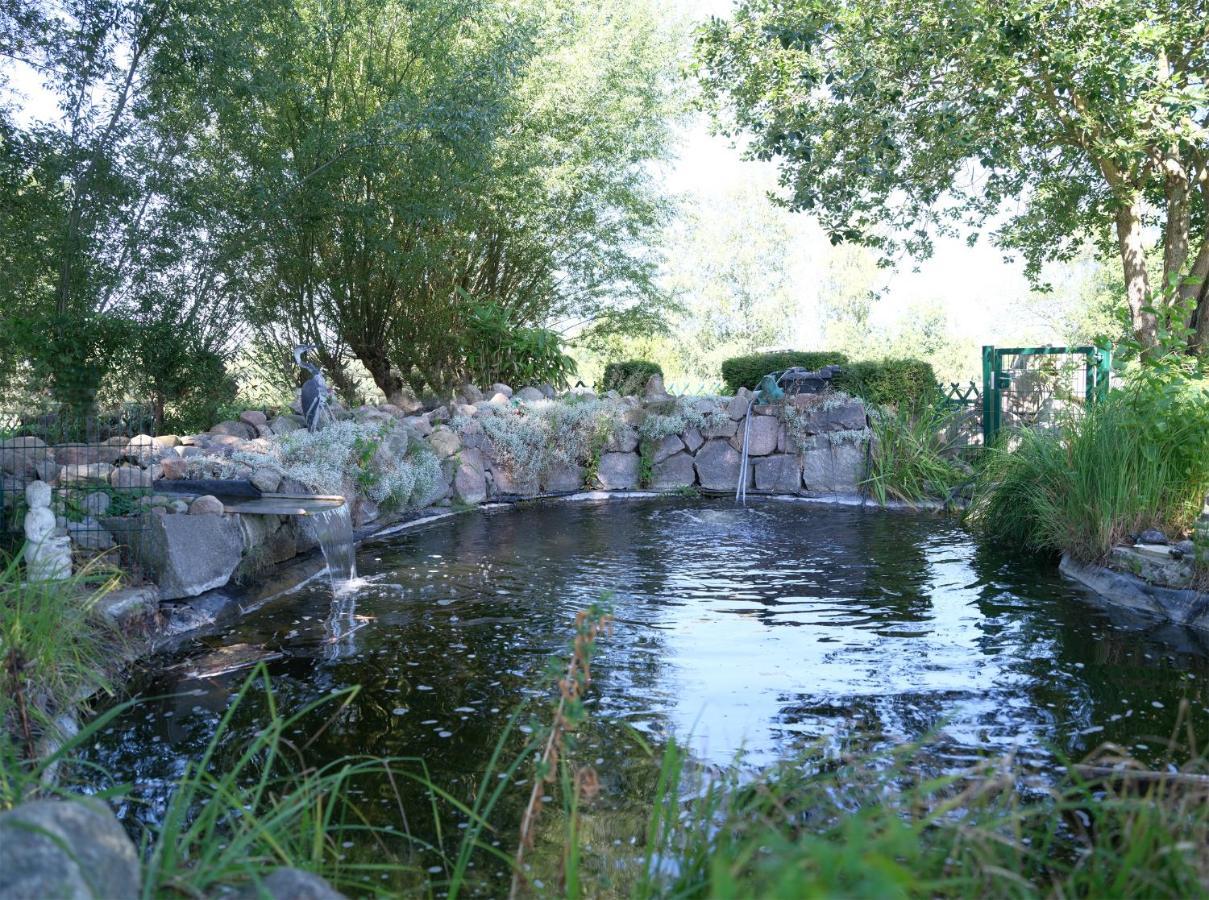 Ferienbungalow Haus Am Teich Boltenhagen  Εξωτερικό φωτογραφία